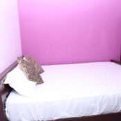 gallery (12)