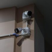 gallery (14)