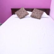 gallery (6)
