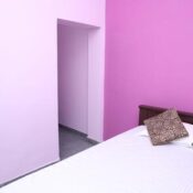 gallery (7)